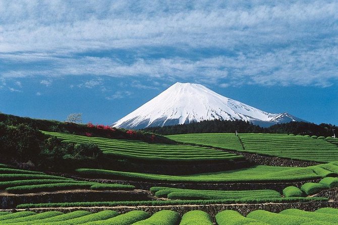Shizuoka/Shimizu Mt Fuji View 6 hr Private Tour: Guide Only - Food, tea and the value of a local guide