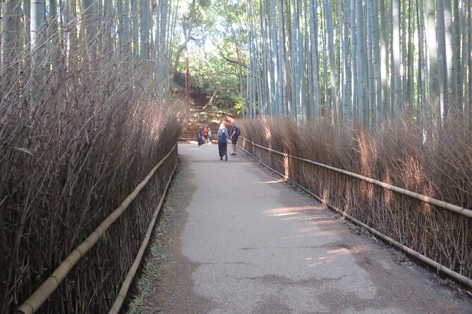 Shore excursion: Full Day Private Kyoto Tour From Osaka/Kobe Port - The real value of a private vehicle