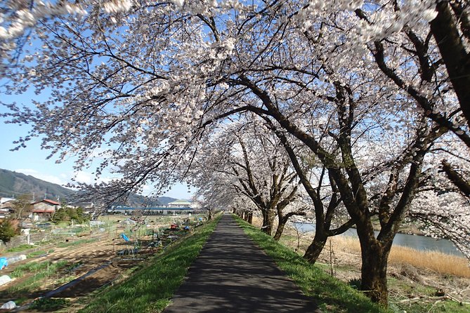 Short Morning Cycling Tour in Hida - The guide is the heart of the experience