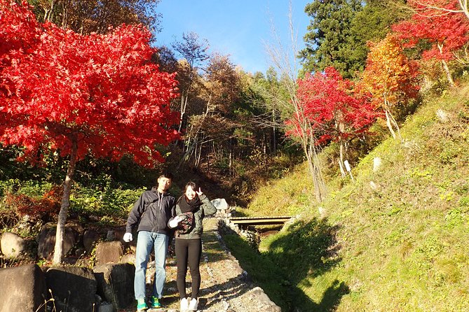 Short Morning Cycling Tour in Hida - Weather, comfort, and what to bring