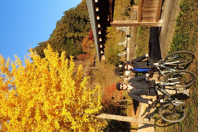 Short Morning Cycling Tour in Hida - Is $161.18 a fair price?
