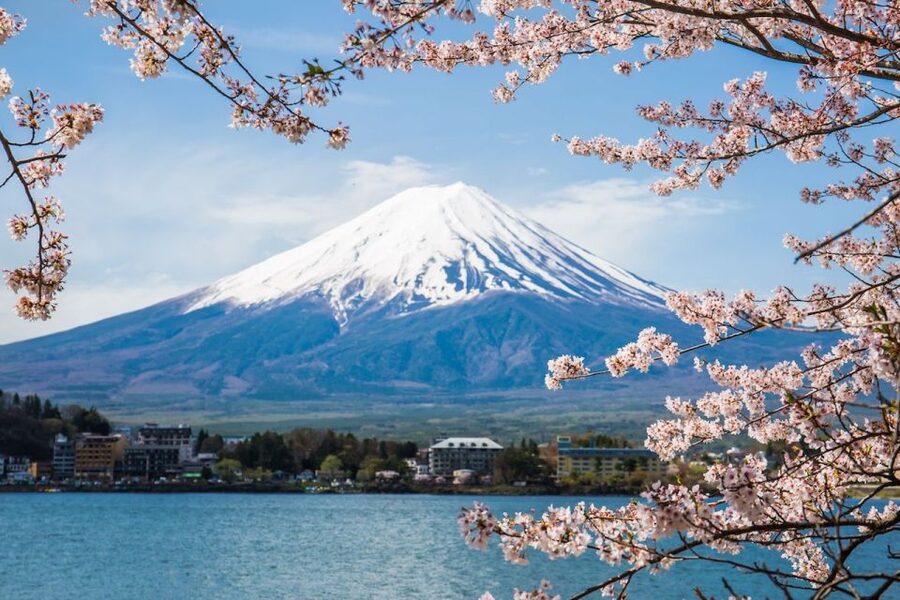 Sightseeing Day Trip to Mount Fuji and Hakone Green Number - Traffic, weather, and the limits of a 10-hour day