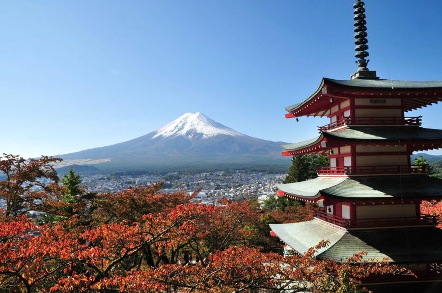 Sightseeing Day Trip to Mount Fuji and Hakone Green Number - Choosing between the Fuji and Hakone route options