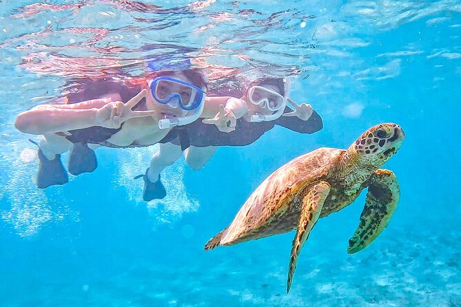 Snorkeling Activity in Okinawa Miyako Japan - Key points before you book