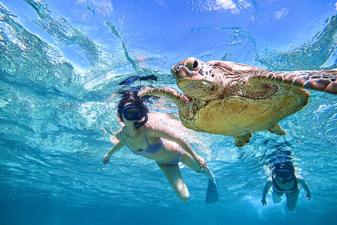 Snorkeling Activity in Okinawa Miyako Japan - Why Miyakojima sea turtles are the main event