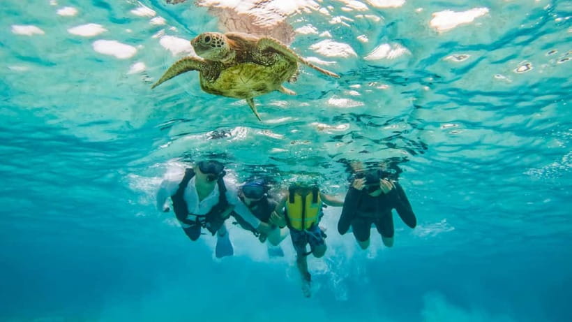 Snorkeling Activity in Okinawa Miyako Japan - Who should book, and who should skip it?