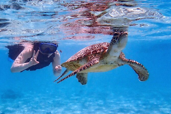 Snorkeling Activity in Okinawa Miyako Japan - What the roughly two-hour outing feels like