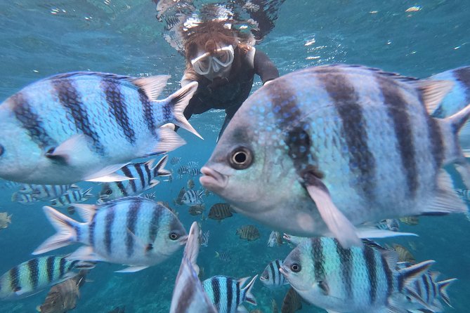 Snorkeling in the Blue Cave area【Okinawa Prefecture: Free feeding & photo images!English and Chinese speaking guide available! - What the Blue Cave outing is really like