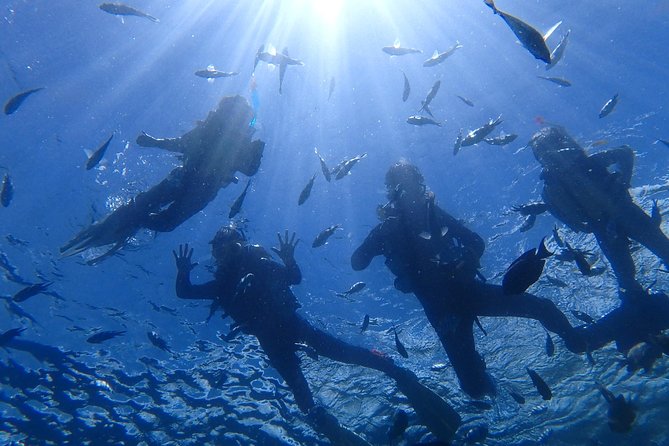 Snorkeling in the Blue Cave area【Okinawa Prefecture: Free feeding & photo images!English and Chinese speaking guide available! - The Blue Cave is smaller than the photos suggest