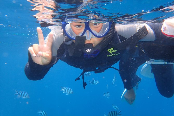 Snorkeling in the Blue Cave area【Okinawa Prefecture: Free feeding & photo images!English and Chinese speaking guide available! - Timing, crowds, and the best start of day