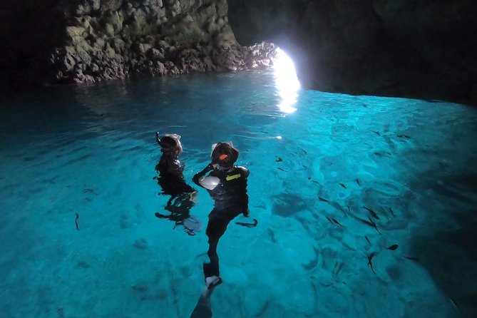 Snorkeling in the Blue Cave area【Okinawa Prefecture: Free feeding & photo images!English and Chinese speaking guide available! - Who will enjoy this trip most