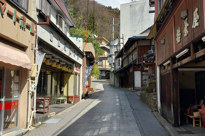 Snow Monkey Park, Soba Lunch and Shibu Onsen Tour - Why the snow monkeys are worth the trip