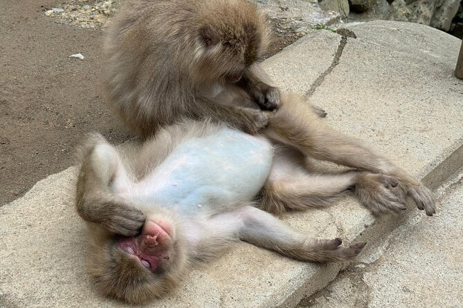 Snow Monkey Park, Soba Lunch and Shibu Onsen Tour - Soba lunch in historic Shibu Onsen