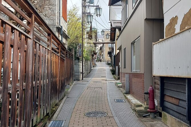 Snow Monkey Park, Soba Lunch and Shibu Onsen Tour - Who will get the most from this tour?