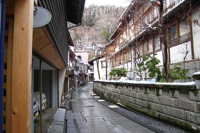Snow Monkey & Shibu Onsen Afternoon Tour (Depart: Iiyama & Nozwa) - Why this afternoon tour works so well