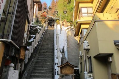 Snow Monkey & Shibu Onsen Afternoon Tour (Depart: Iiyama & Nozwa)