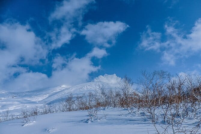 Snowshoe Adventures and Onsen Bliss Winter Escape in Furano - Choosing Between the Morning and Night Walk