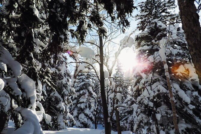 Snowshoe Adventures and Onsen Bliss Winter Escape in Furano - One Hour on Snowshoes at 1,000 Meters