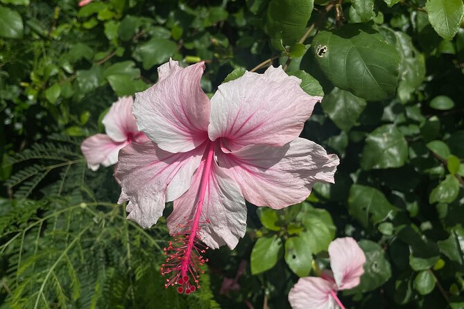 Spirit of Ishigaki: Explore the land and Lore - Blue water, sea caves, and the island’s edges