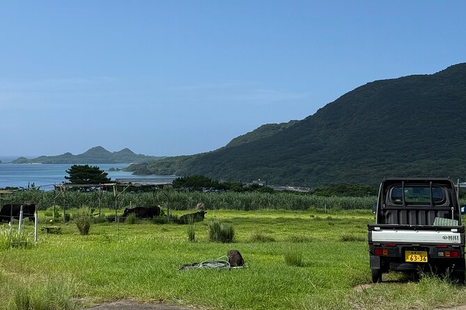 Spirit of Ishigaki: Explore the land and Lore - Yarabudake and the palm-tree museum add variety