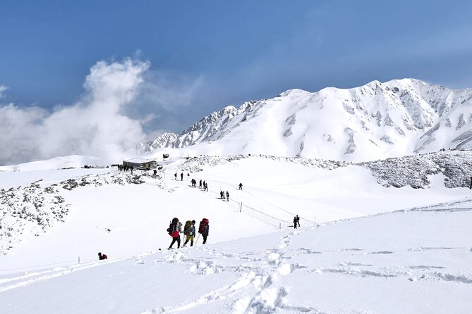 (Spring Only) 1-Day Snow Walls of Tateyama-Kurobe Alpine Route Tour - Group size and the role of the guide