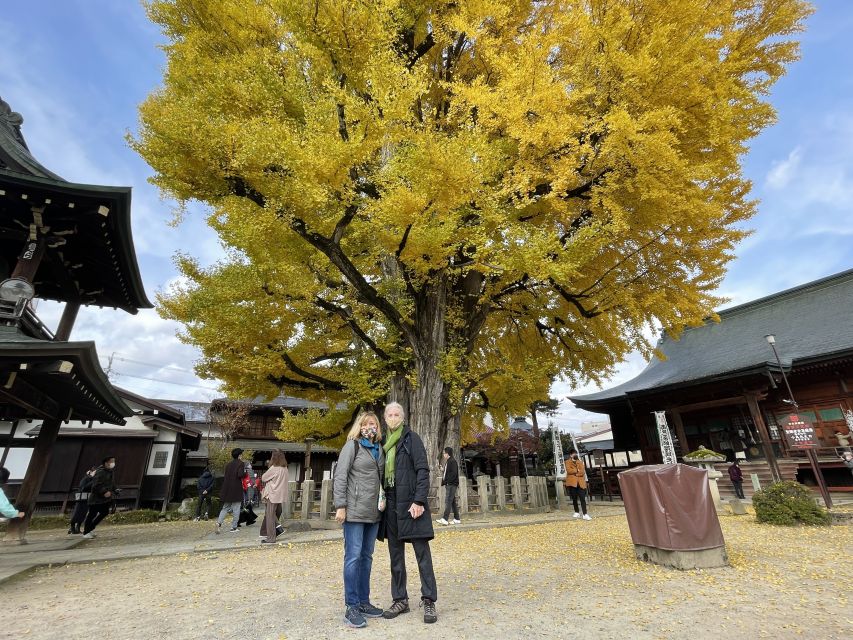 Takayama: Private Walking Tour with a Local Guide - Takayama Jinya and the city’s official past