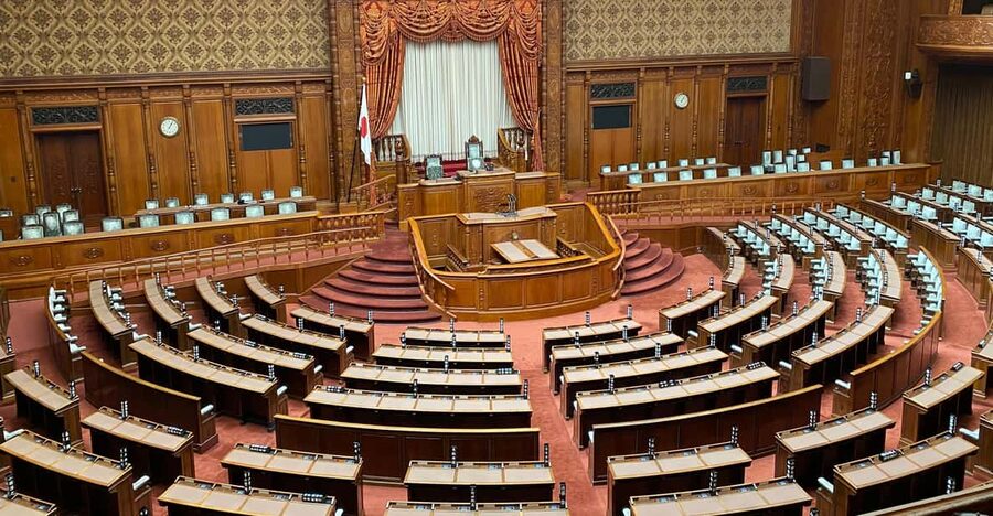 Tameike: Exploring the Heart of Japanese Politics Tour - Why this Tokyo tour feels different