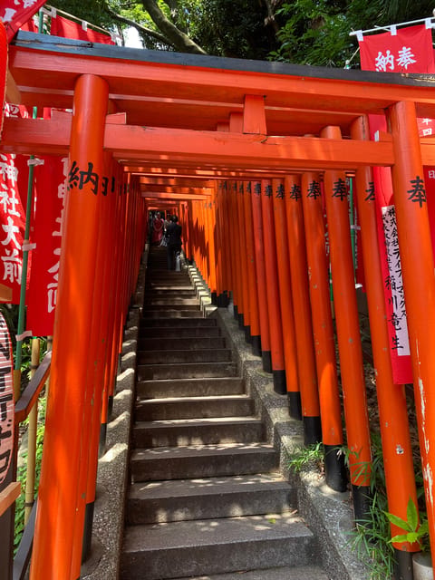 Tameike: Exploring the Heart of Japanese Politics Tour - Timing, walking, and the shape of the afternoon