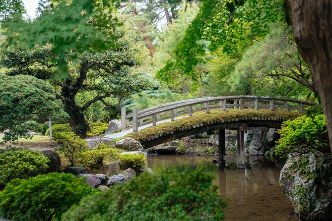 The Beauty of Kyoto by Bike: Private Tour - Safety, effort, and the right kind of rider