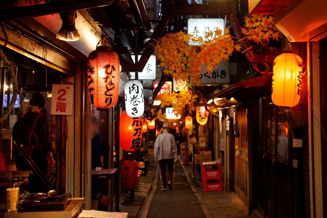 The Dark Side of Tokyo - Night Walking Tour Shinjuku Kabukicho - Starting at the East Exit Police Box