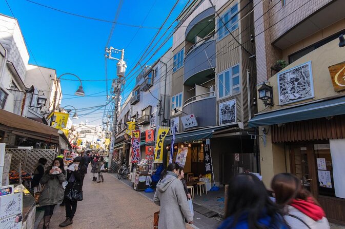 The Old Quarter of Tokyo - Yanaka Walking Tour - Key points to know before booking