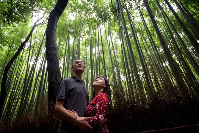 The right way to know Kyoto - Walking, trains, buses, and the real cost