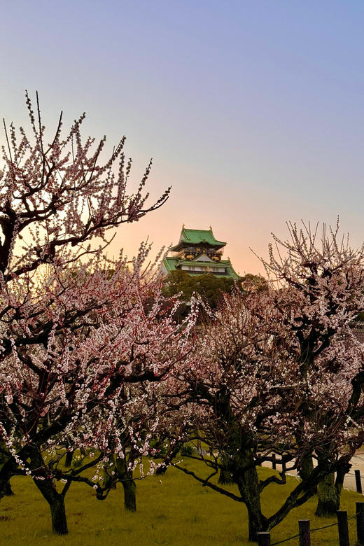 (Ticket Included) Explore Osaka Castle & Museum of History - Key details to know before you book