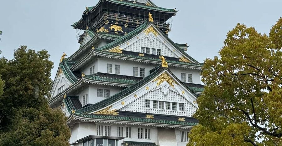 (Ticket Included) Explore Osaka Castle & Museum of History - The 15-minute walk to the museum