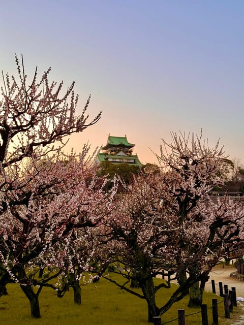 (Ticket Included) Explore Osaka Castle & Museum of History - The Museum of History and its 10th-floor view