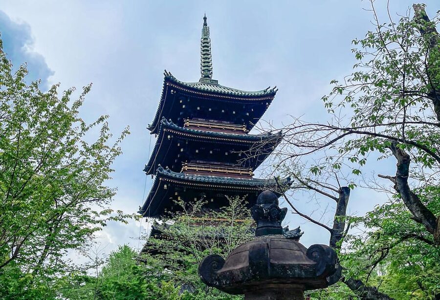 Tokio A: Tour de la ciudad en Español - Spanish - Lunch and Ameyoko’s everyday Tokyo