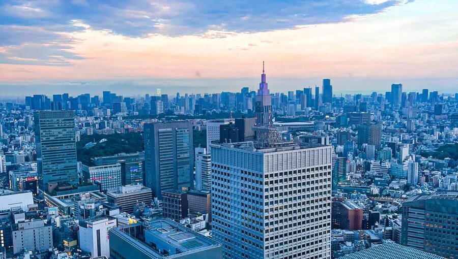 Tokio A: Tour de la ciudad en Español - Spanish - Kabukichō after dark, even in a daytime schedule
