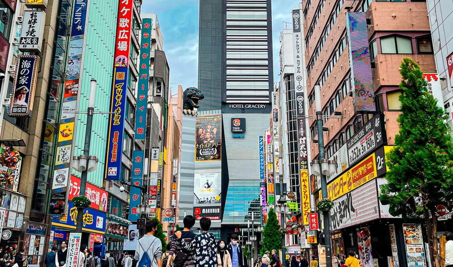 Tokio A: Tour de la ciudad en Español - Spanish - What the Spanish guide adds