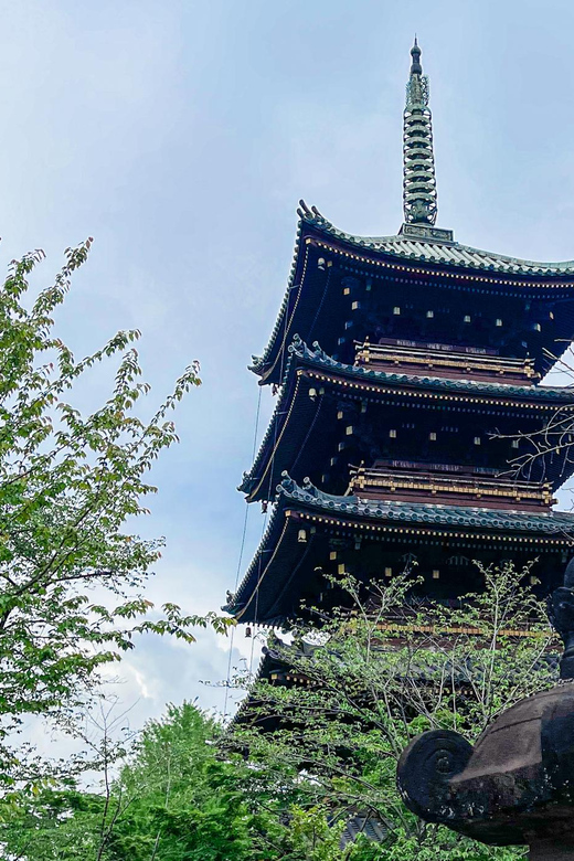 Tokio A: Tour de la ciudad en Español - Spanish - Eight hours on foot and by public transport