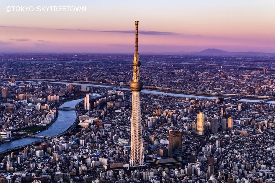Tokyo: 1 Day Bus Tour with Meiji-Jingu,Odaiba,lunch&Skytree - Key points at a glance