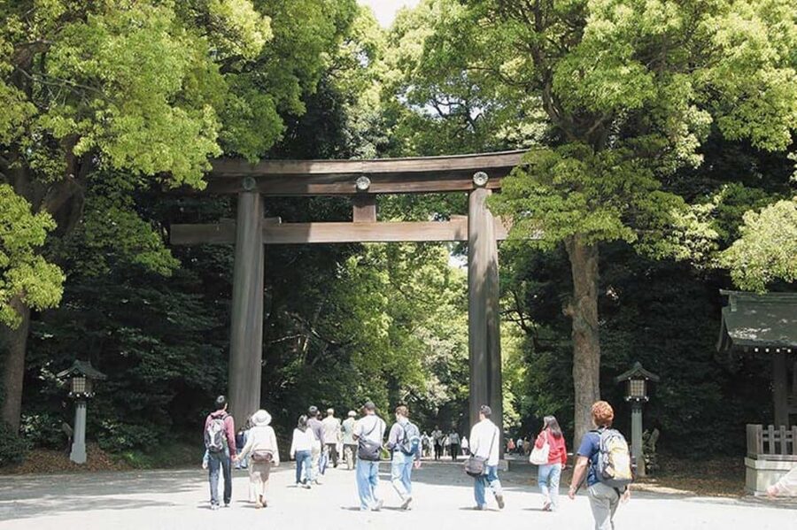 Tokyo: 1 Day Bus Tour with Meiji-Jingu,Odaiba,lunch&Skytree - What the guides add to a busy day