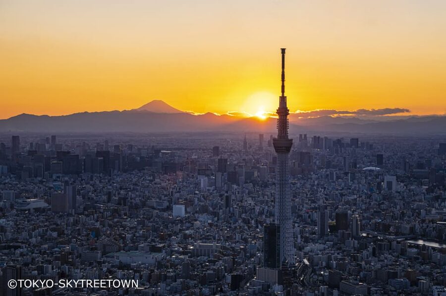 Tokyo: 1 Day Bus Tour with Meiji-Jingu,Odaiba,lunch&Skytree - Meiji Shrine, Tokyo’s forested starting point