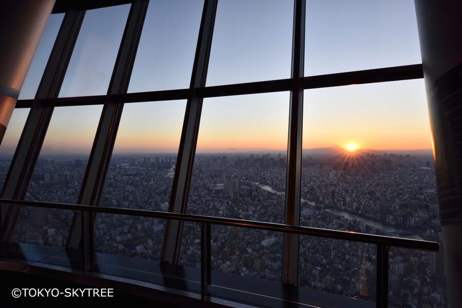 Tokyo: 1 Day Bus Tour with Meiji-Jingu,Odaiba,lunch&Skytree - Meeting in Tokyo and settling onto the yellow bus