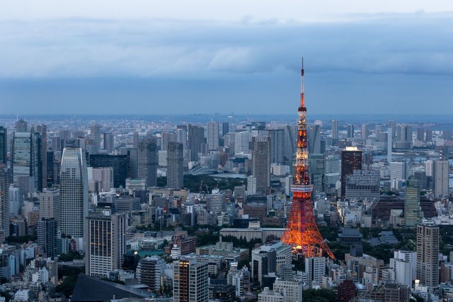 Tokyo: 1-Day Private Customizable Tour by Car - Why a private car makes sense in Tokyo