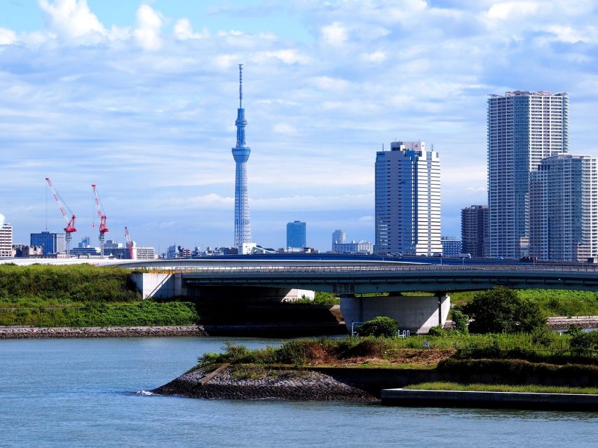 Tokyo: 1-Day Private Customizable Tour by Car - Shibuya gives the day its big city moment