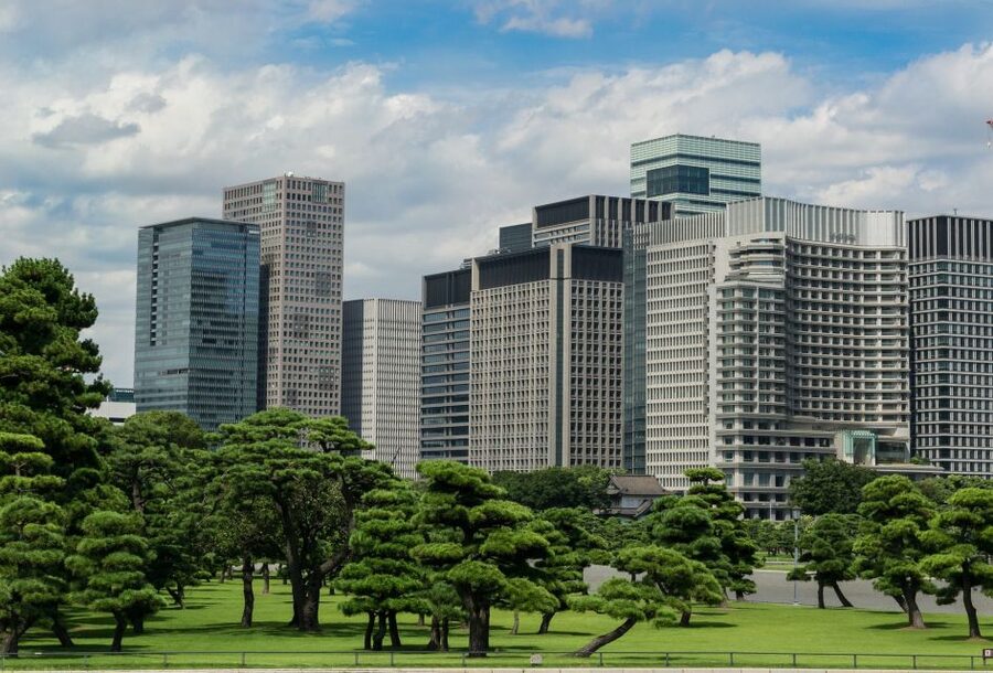 Tokyo: 1-Day Private Customizable Tour by Car - Driver-guide or driver only?