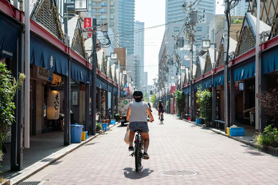 Tokyo: 3-hour Guided E-Bike Tour of the City's Hidden Gems - What this Tokyo e-bike tour feels like