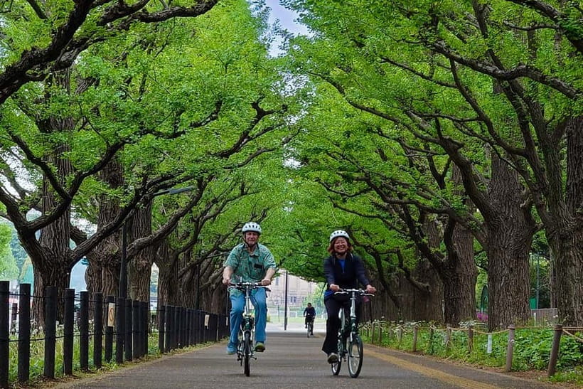 Tokyo: 3h Private E-bike Tours, Starting at Your Hotel - Why a bicycle is a smart way to see Tokyo