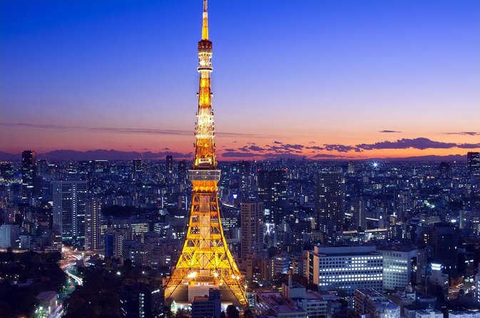Tokyo 6hr Private Tour with Government-Licensed Guide - Key points before you book