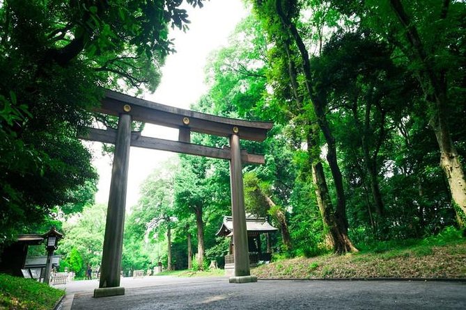 Tokyo 6hr Private Tour with Government-Licensed Guide - Shinjuku Gyoen and Tokyo’s quieter side